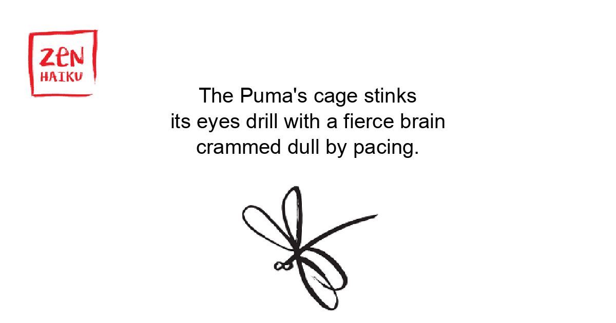 Poem Image