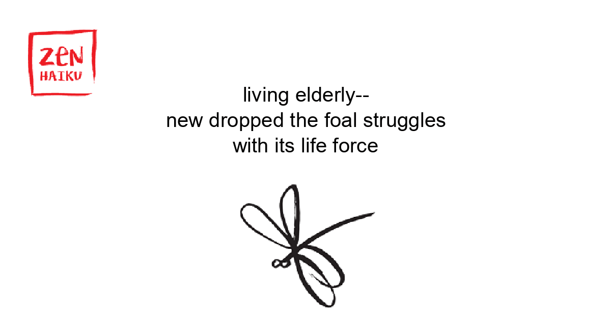 Poem Image