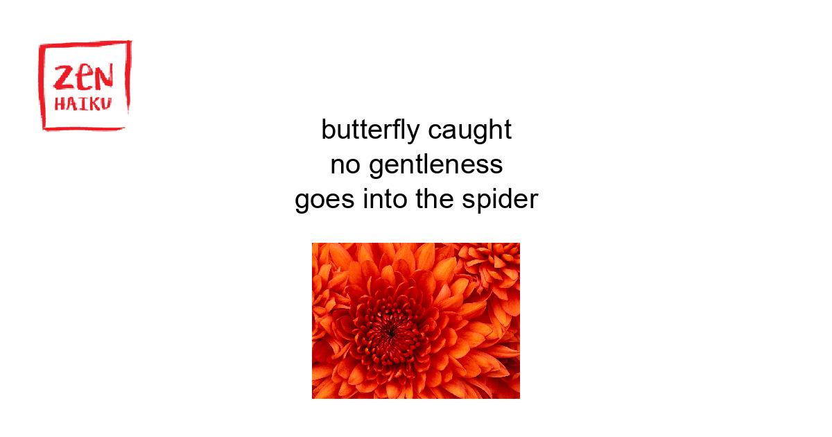 Poem Image